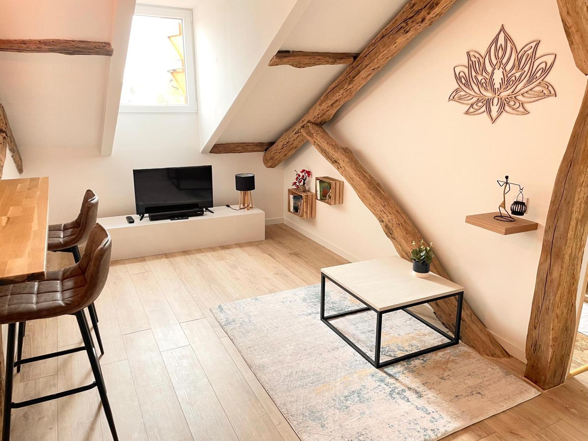 Victor Hugo - Calme Appartement Auch Buitenkant foto