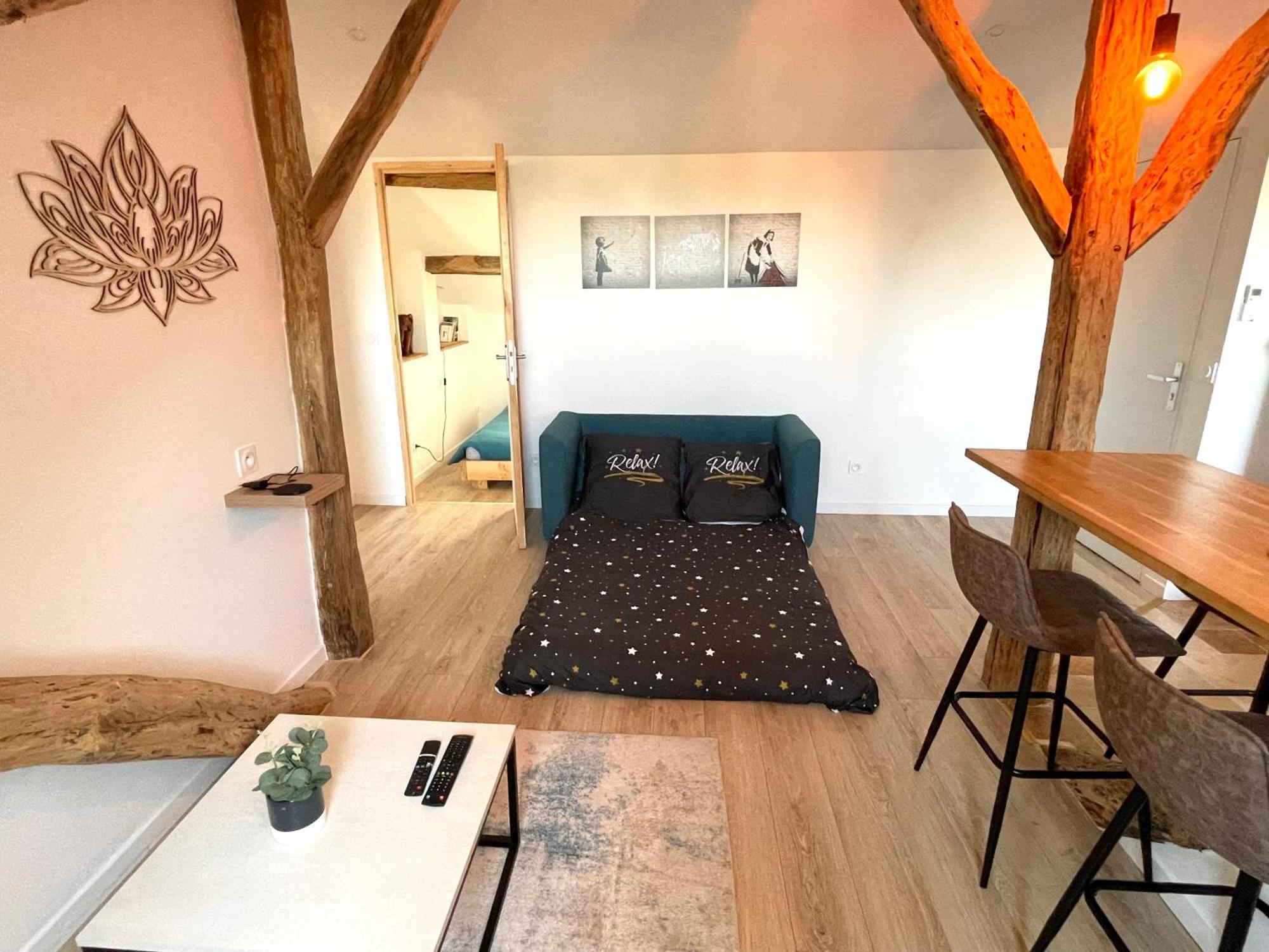 Victor Hugo - Calme Appartement Auch Buitenkant foto
